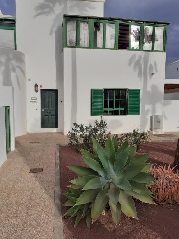a plant in front of a white building with green windows at Casa Rey in Playa Blanca