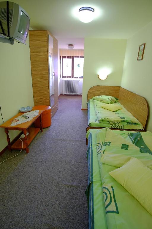Postel nebo postele na pokoji v ubytování Pensiunea Sebastian