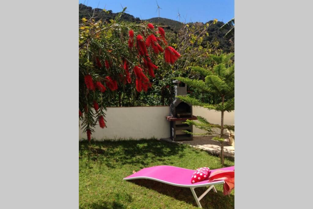 a pink hammock in a yard with red flowers at APARTMENT LA PEÑA ROJO WIFI in Tarifa