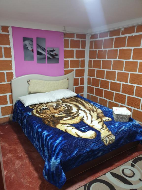 Hostal Macondo