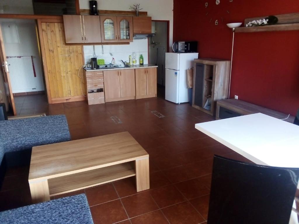 Kuchyň nebo kuchyňský kout v ubytování Apartmán v arealu Doky Lipno