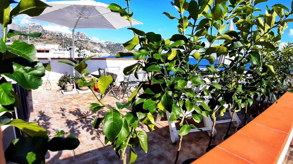 Panoramic Terrace Room - Housity