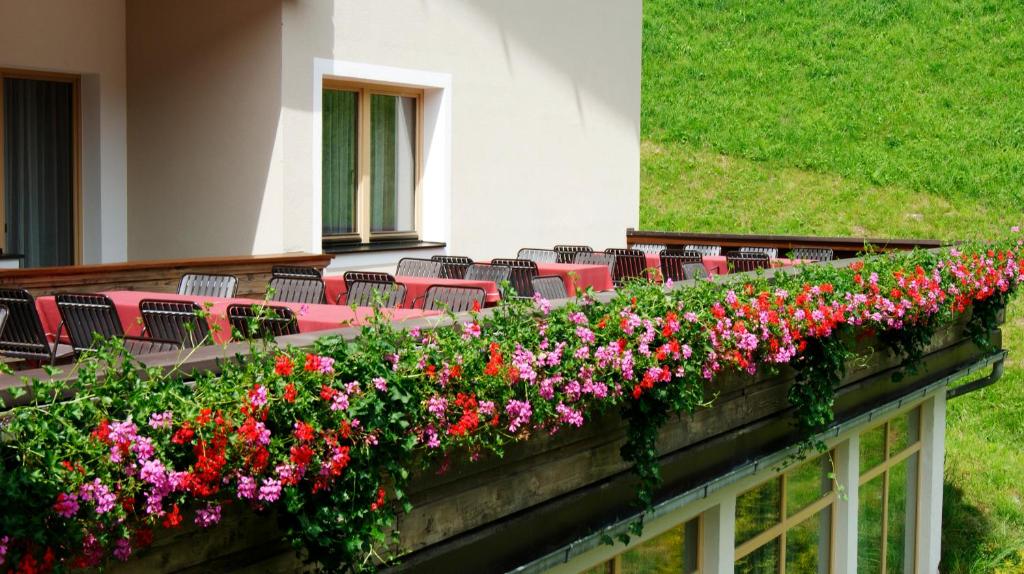 Zahrada ubytování Haus am Wildbach
