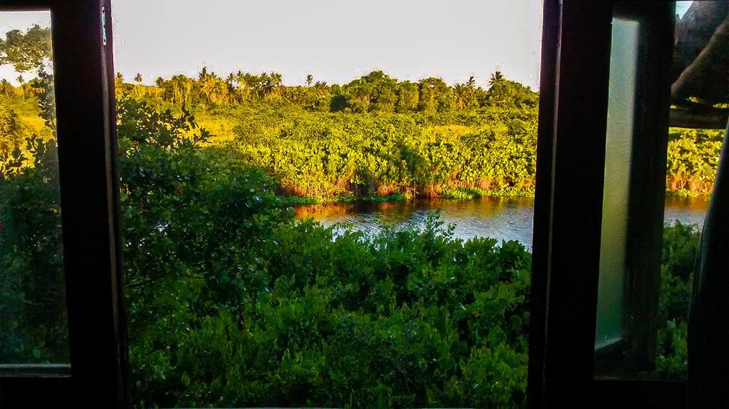  Casa das árvores Itaúnas