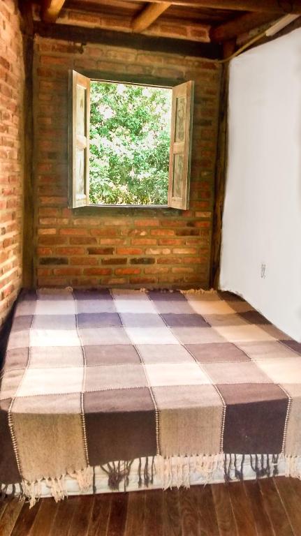  Casa das árvores Itaúnas