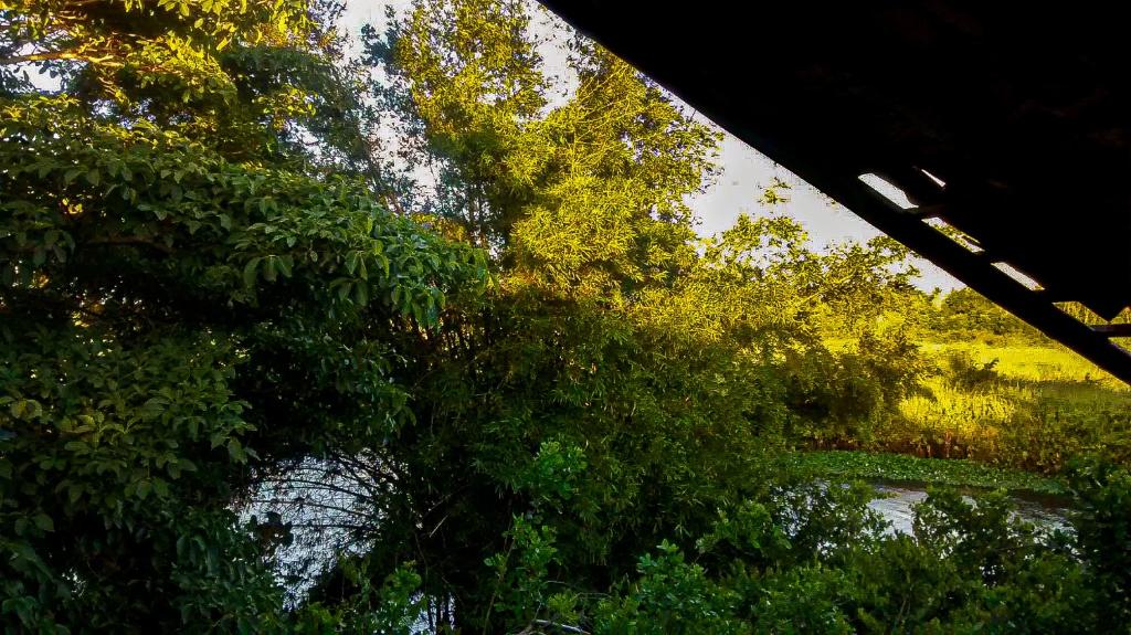  Casa das árvores Itaúnas