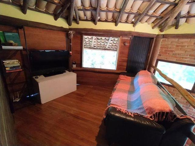  Casa das árvores Itaúnas