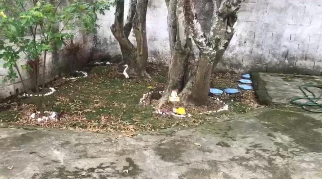  Casa com Piscina