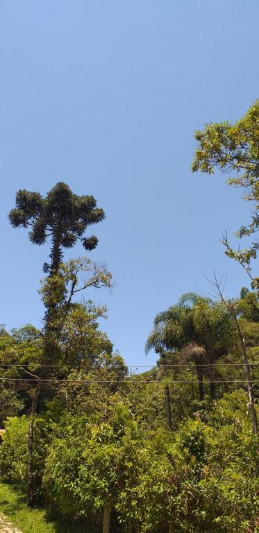  Chacara Dona Julita