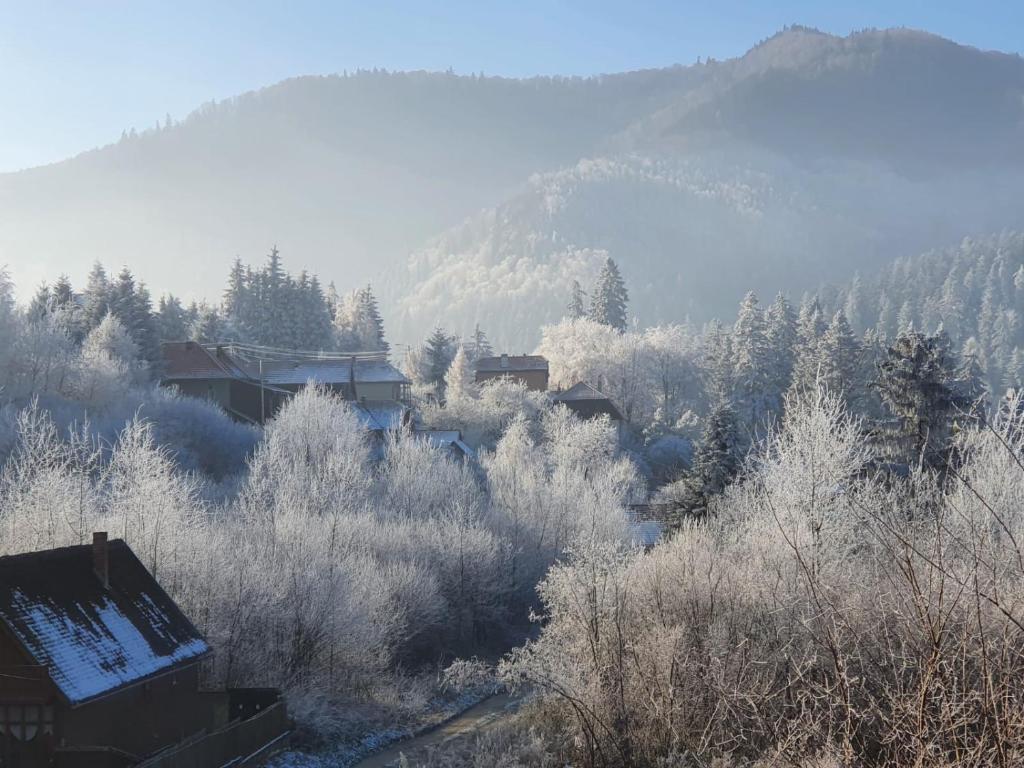 Strada Tiszás vacation house - Housity