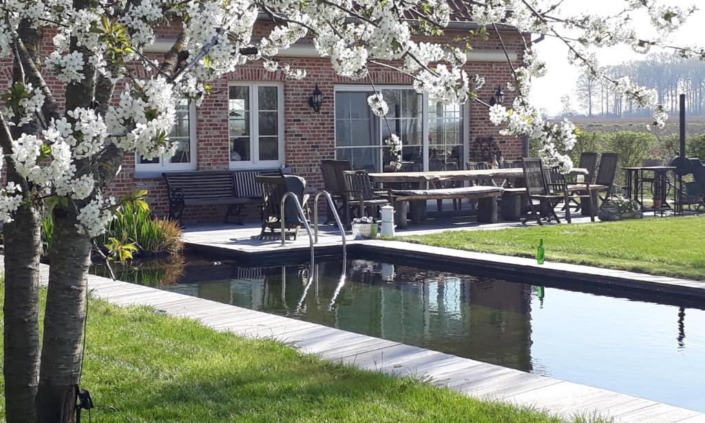 Zahrada ubytování B & B Victors Hof, met zwemvijver in landelijke setting
