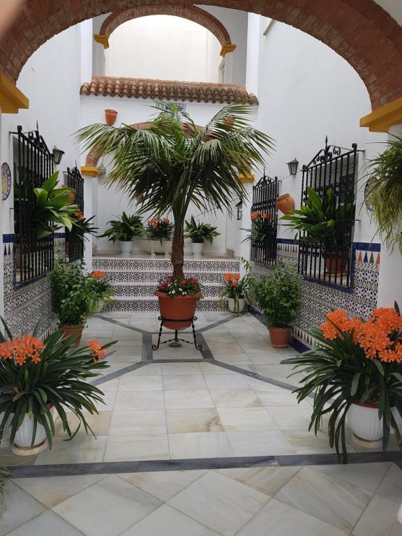 a courtyard with plants and a palm tree in a building at Apartamentos Los Arcos in El Bosque