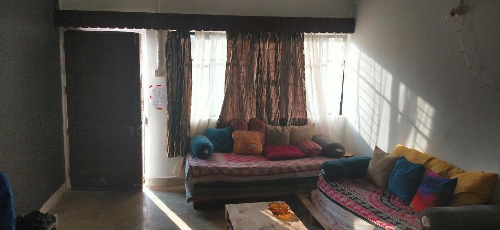Zona de estar de Monkey Mind Hostel