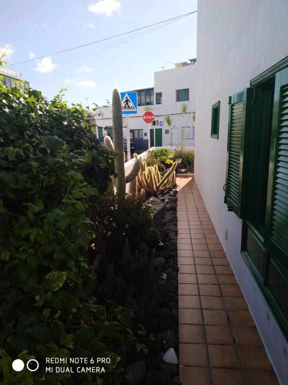 Kép Caracola azul szállásáról Arrietában a galériában