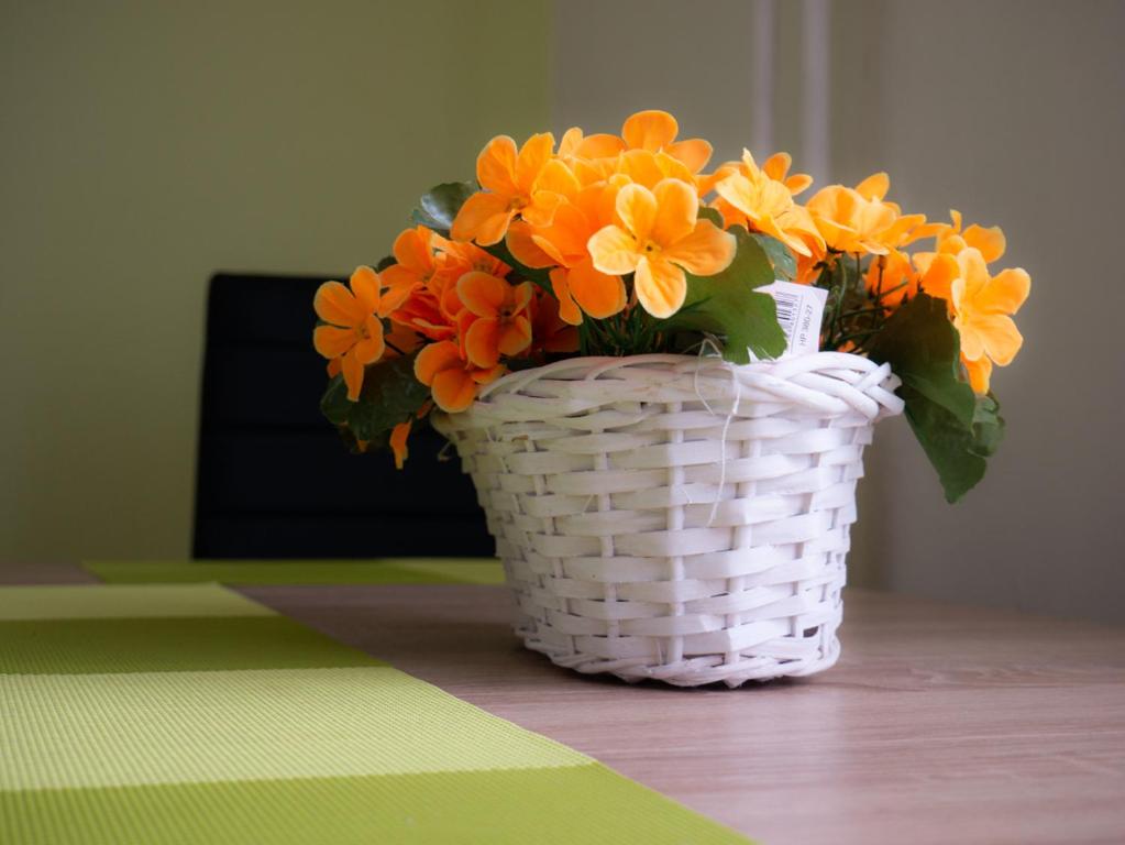 Fotografie z fotogalerie ubytování Apartmán Pod Ledovcem v Mladých Bukách