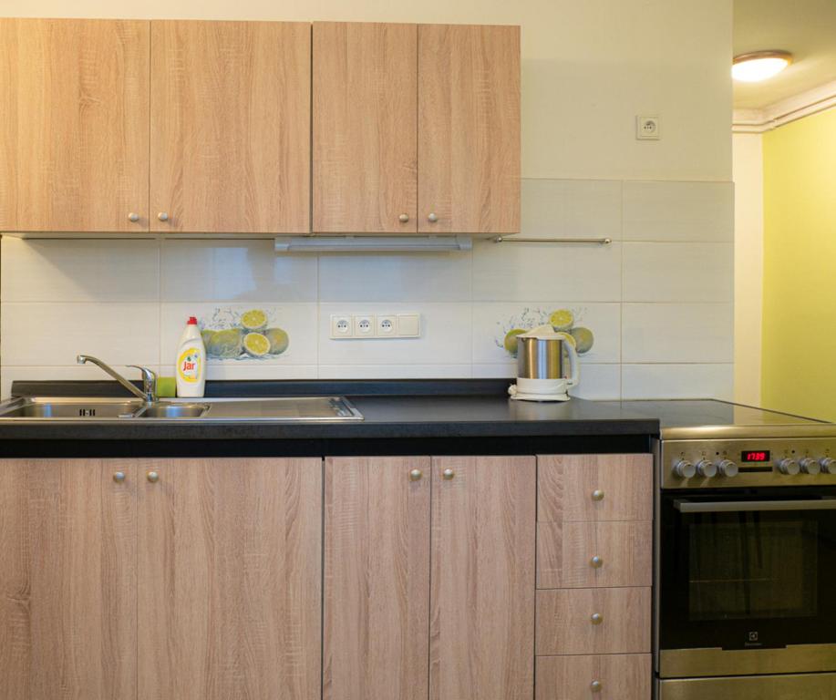 Kuchyň nebo kuchyňský kout v ubytování Apartmán Pod Ledovcem