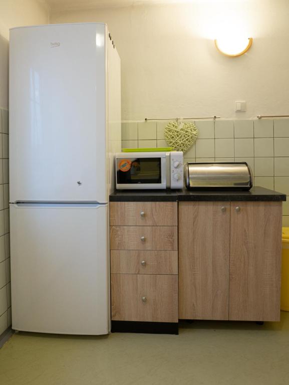 Kuchyň nebo kuchyňský kout v ubytování Apartmán Pod Ledovcem