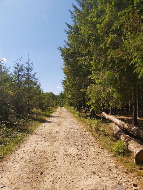 Příroda nedaleko venkovského domu