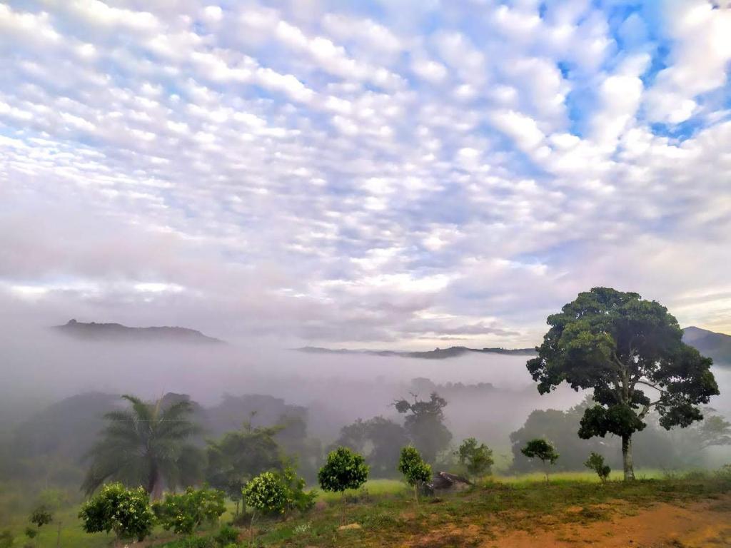  Pousada Mirante dos Ipês