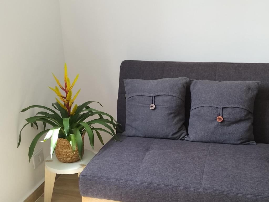  Flat Decor Nórdico Minimalista Avenida Paulista