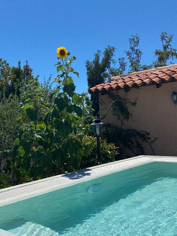 Bazén v ubytování Hotel Aurora nebo v jeho okolí