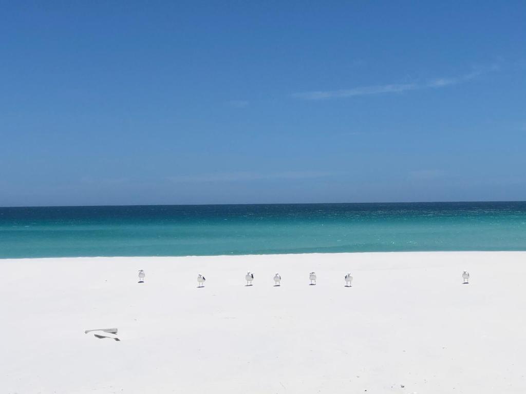  Apartamento Praia Grande