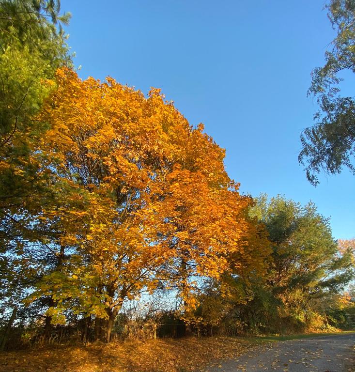Roadhaven1830 photo