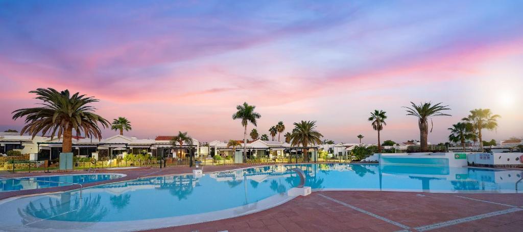 Swimmingpoolen hos eller tæt på Maspalomas Lago Canary Sunset