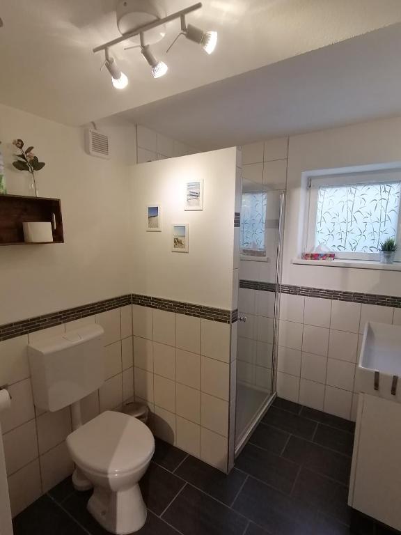 ein Badezimmer mit Toilette und Dusche in der Unterkunft Apartment Kieselsgrund in Dielheim