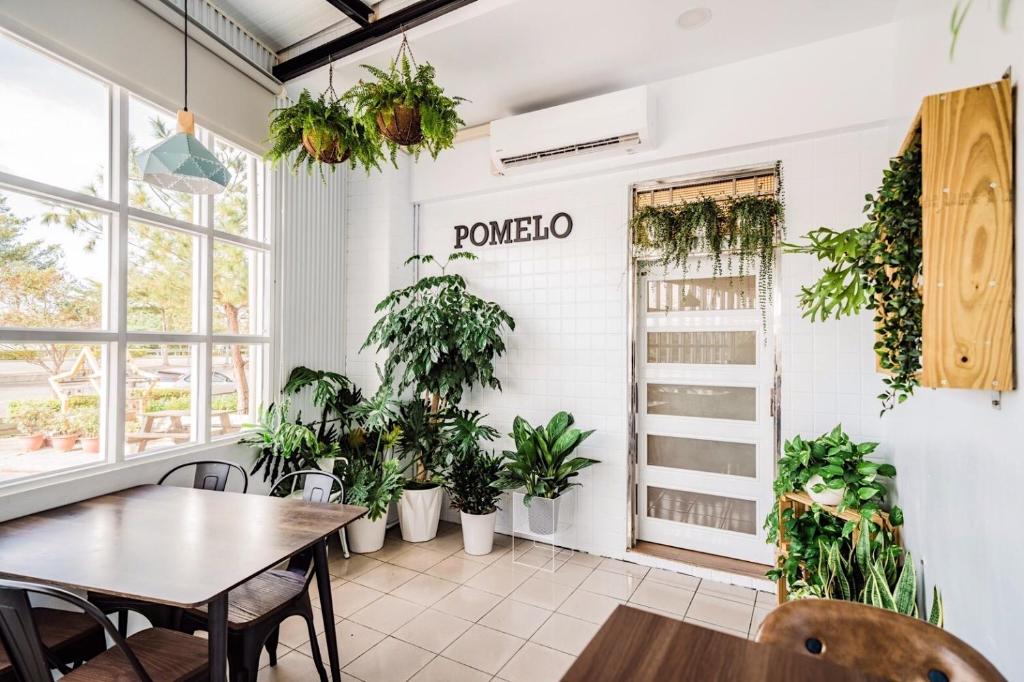 Fotografie z fotogalerie ubytování Pomelo Homestay v destinaci Houli