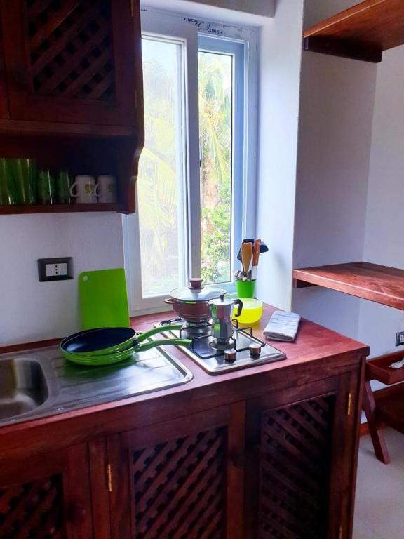 Kuchyň nebo kuchyňský kout v ubytování Simba House
