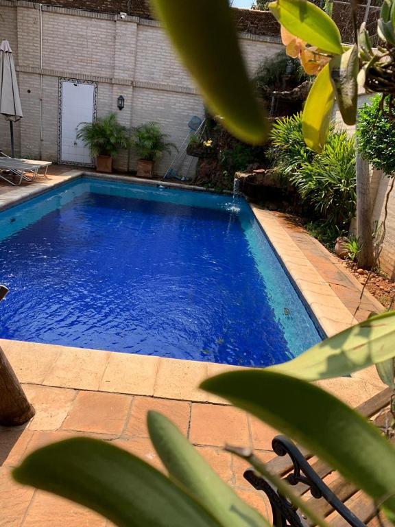 Bazén v ubytování Sol de Luque Casa-hotel nebo v jeho okolí