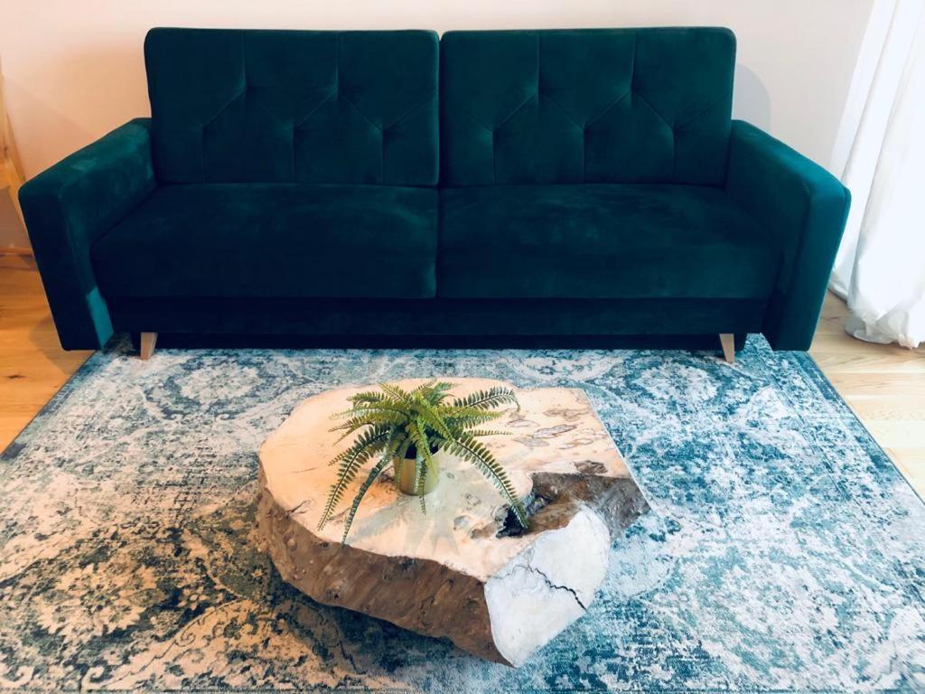 Una sala de estar con un sofá azul y una palmera sobre una alfombra. en Apartament z Widokiem na Morze, en Gdansk