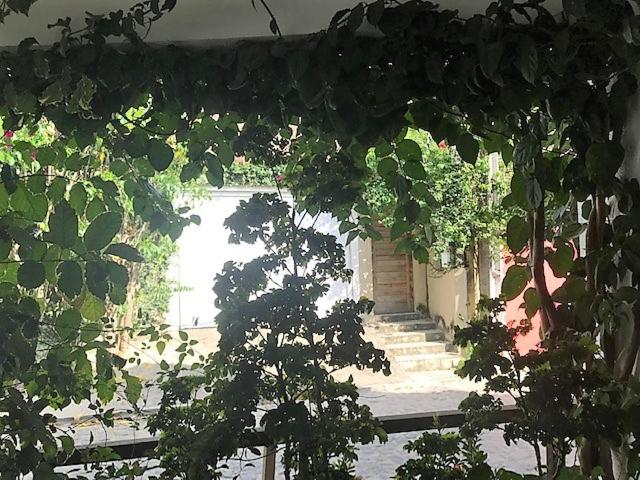  Apartamento Bougainvillea no centro de Pipa