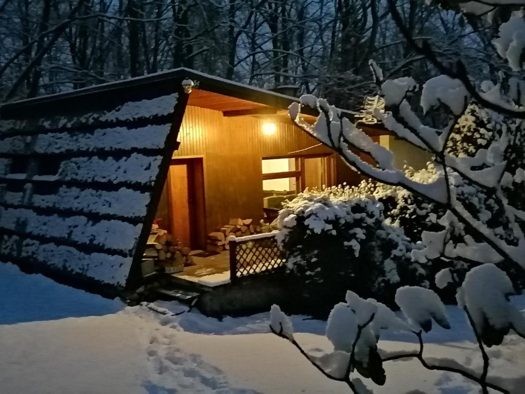 Meszna的住宿－Chałpa na skarpie，夜间树林里的一个雪覆盖的小屋