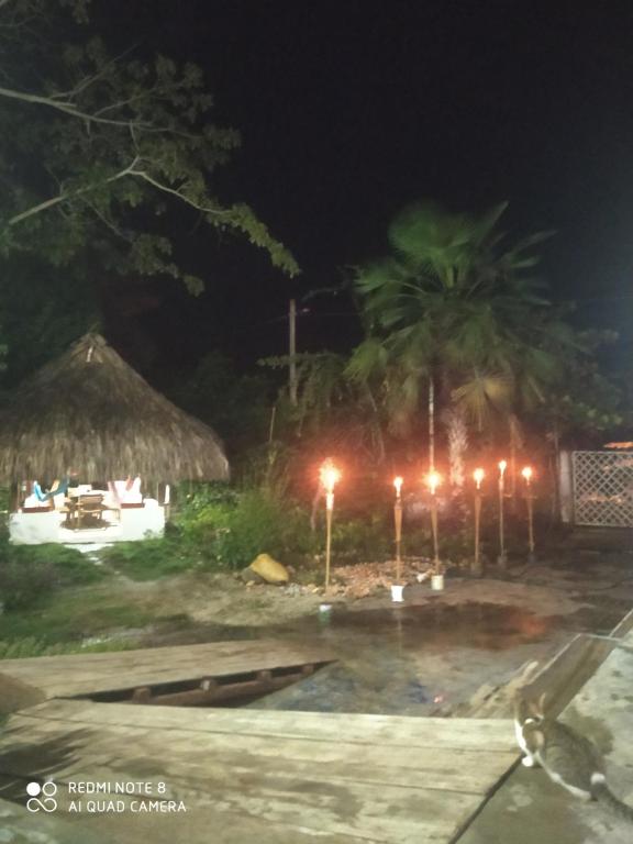 una playa de noche con palmeras y luces en Los Versos de Zaira, en San Onofre
