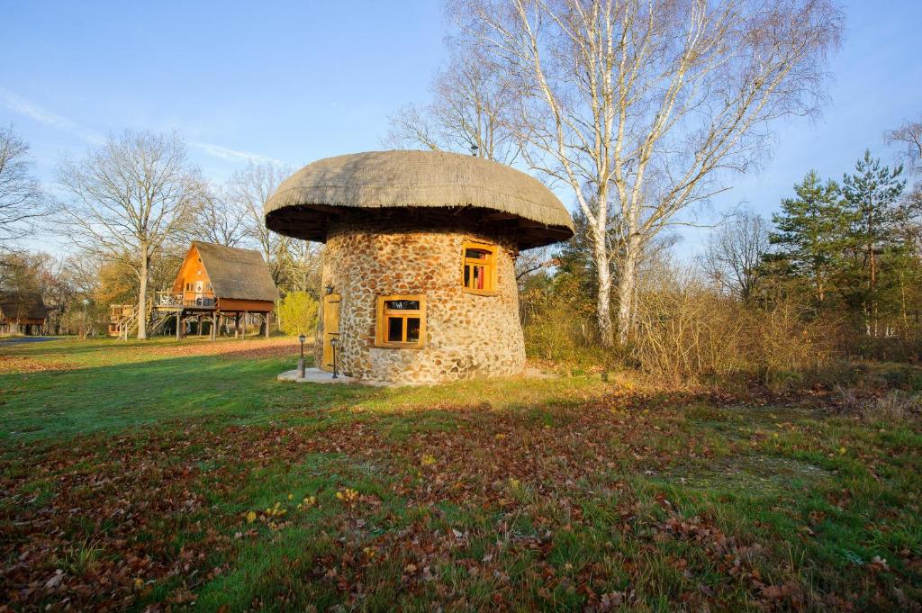 une petite maison de champignons en pierre dans un champ dans l'établissement Le Nid Dans Les Bruyères, à Fère-en-Tardenois