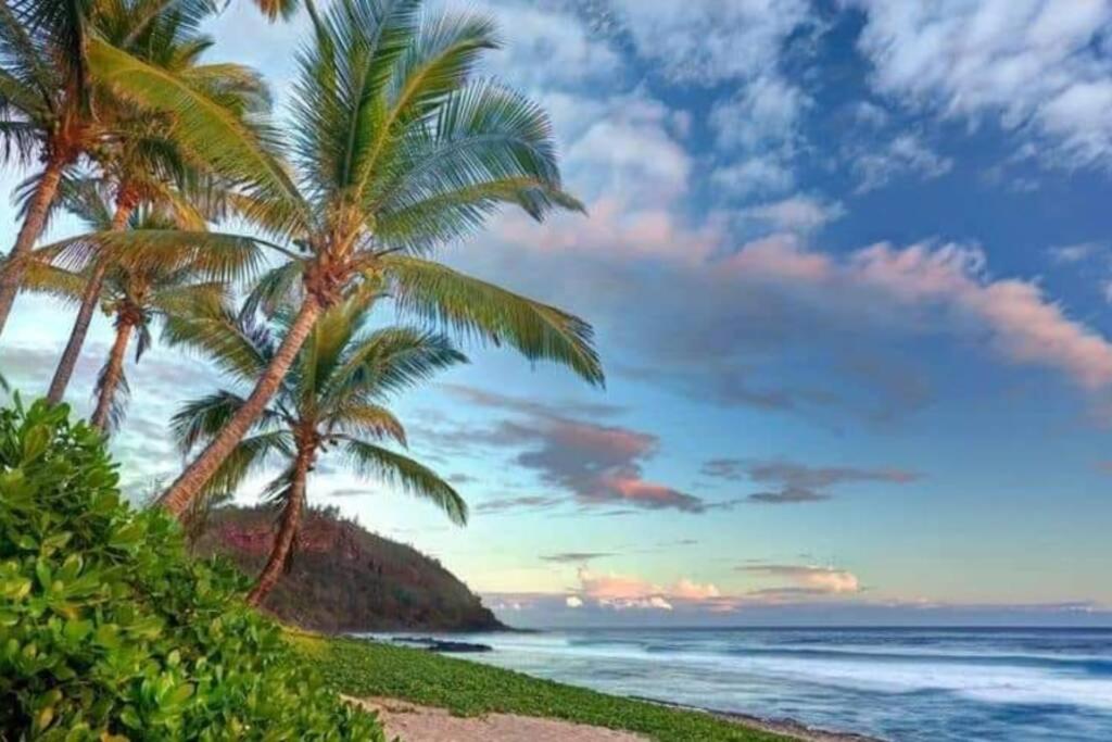 un groupe de palmiers sur une plage dans l'établissement Villa Créole Alamanda, à Petite Île