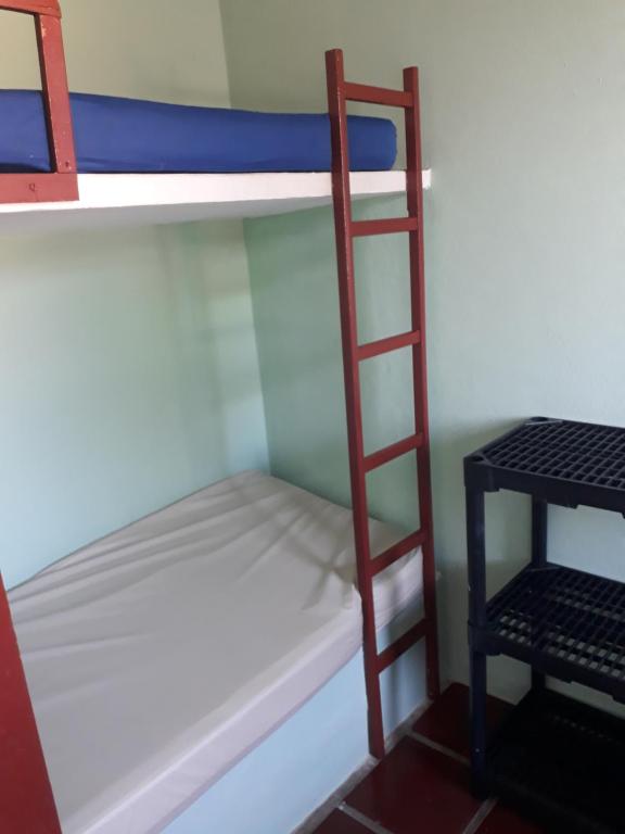 a bunk bed with a ladder in a room at Apartamento Morada do Sol in Ilha Comprida