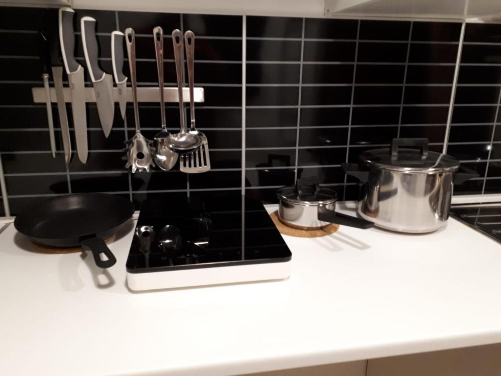 Kuchyň nebo kuchyňský kout v ubytování Apartament Dertosa