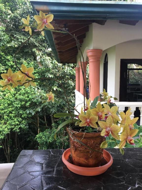 Zahrada ubytování Mango Tree Villas
