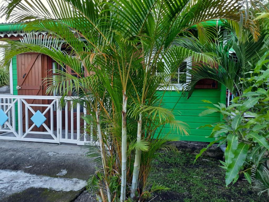 uma palmeira em frente a uma casa com uma cerca em La kaz créole 2 em Bouillante