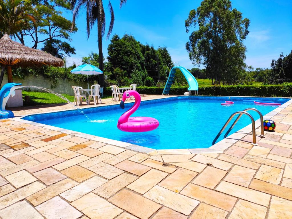 a swimming pool with a pink flamingo in the water at Casa de Campo Lazer Completo Paraíso de Reservas Naturais em Sp in Ibiúna