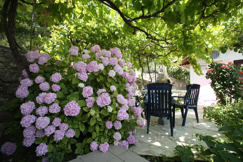 Apartments Juranić - Tek Yatak Odalı Daire - Teraslı - Ek Bina