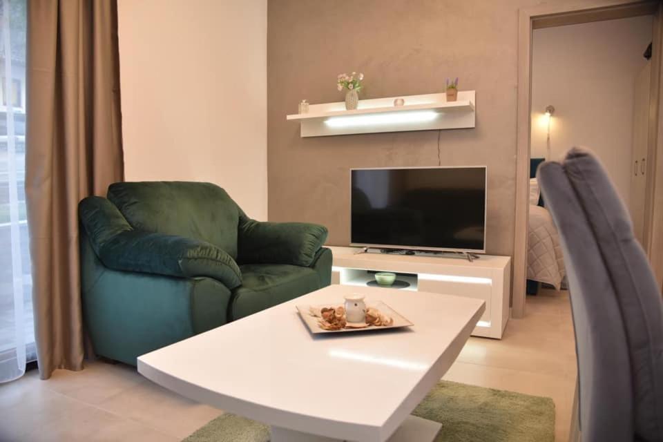 TV a/nebo společenská místnost v ubytování Apartmani Sofrenic-Hotel Adonis