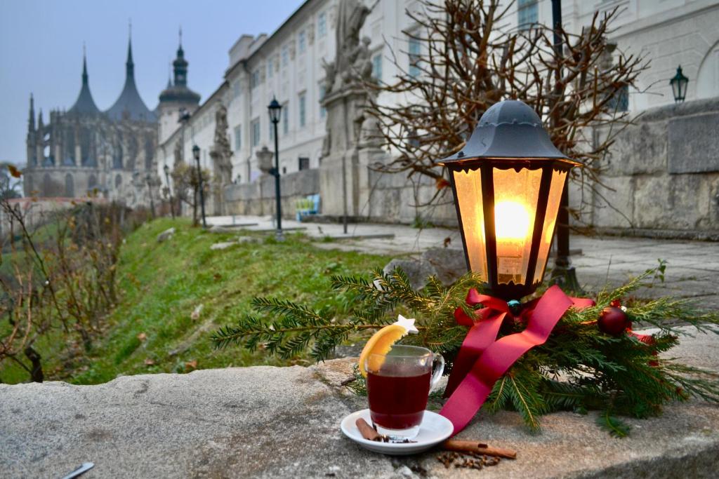 Nápoje v ubytování Vila U Varhanáře
