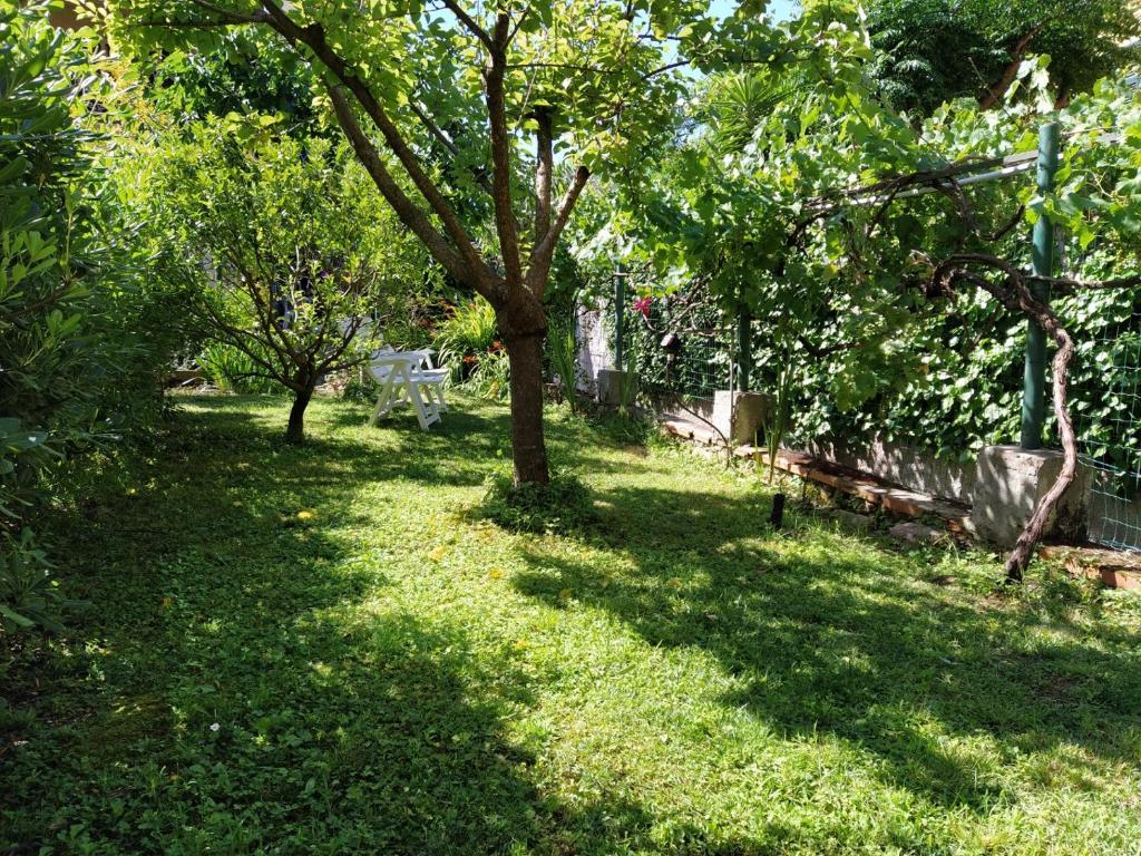 Fotografia z galérie ubytovania Il Giardino Segreto (Villa Cristina) v destinácii Lerici