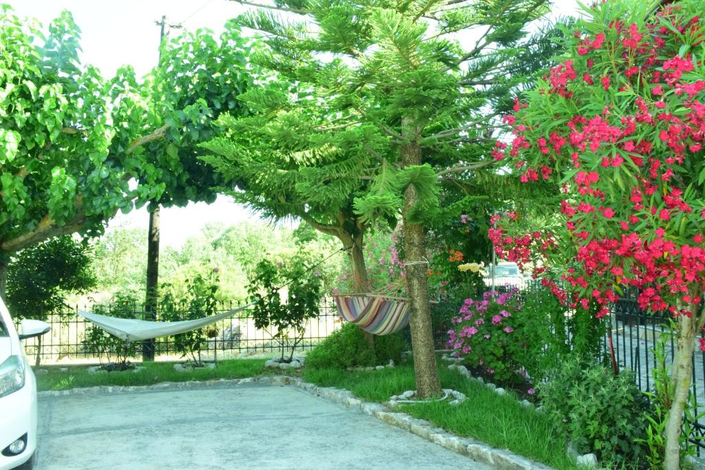 Vonkajšia záhrada v ubytovaní Sparto Village
