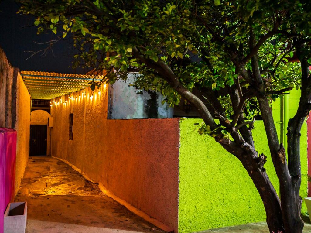 Fotografie z fotogalerie ubytování Casa Cuevas & Amaro v destinaci Mérida