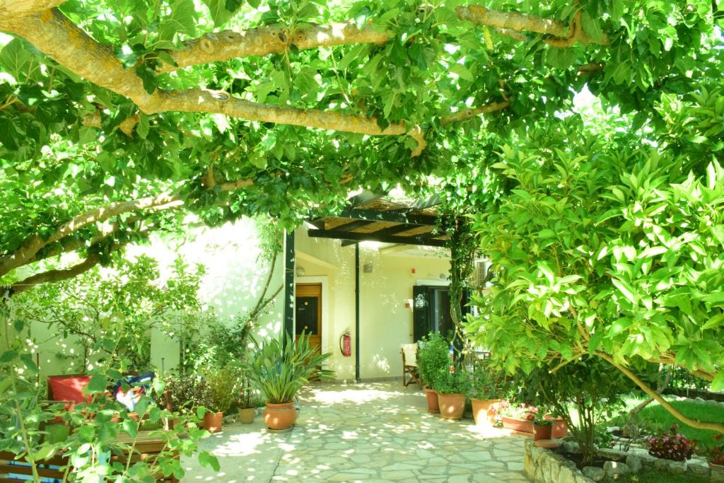 Vonkajšia záhrada v ubytovaní Sparto Village